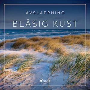 Avslappning - Blåsig kust