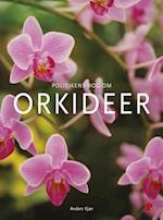 Politikens bog om orkideer
