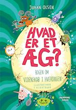 Hvad er et æg?