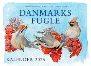 Danmarks fugle - kalender 2025 - Carl Christian Tofte - Bog