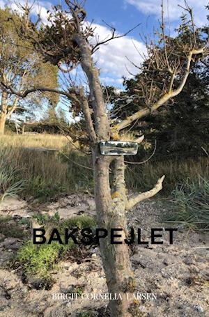 Bakspejlet