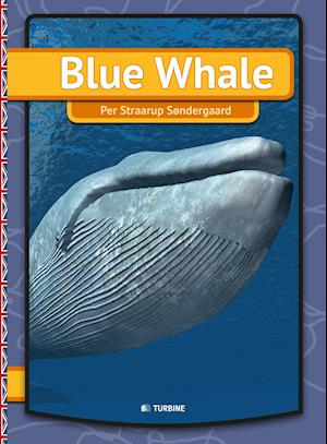 Blue whale