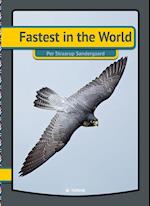 Fastest in the world