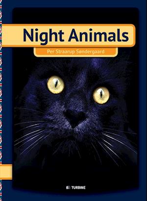 Night animals