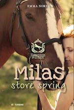 Milas store spring