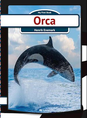 Orca