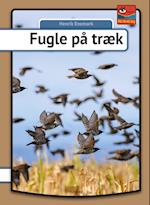 Fugle på træk