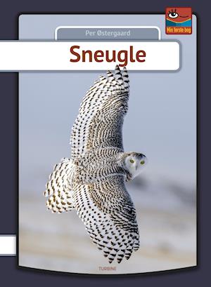 Sneugle