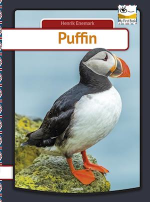 Puffin