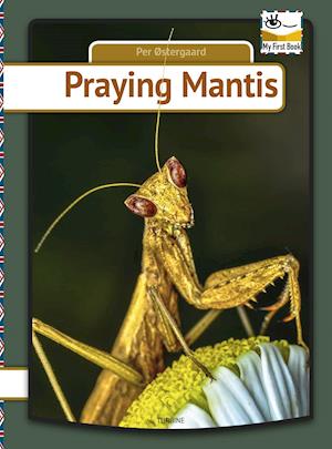 Praying mantis