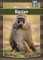 Bavian