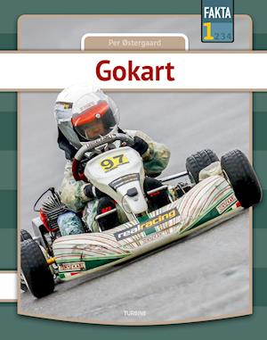 Gokart