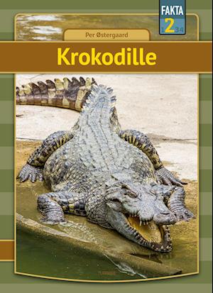 Krokodille