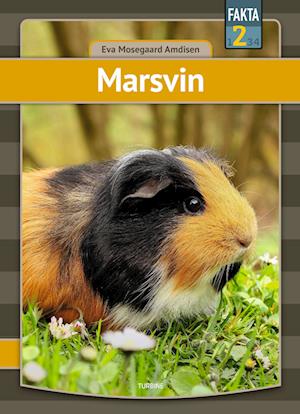 Marsvin