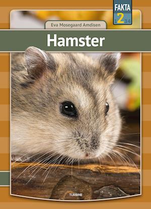 Hamster