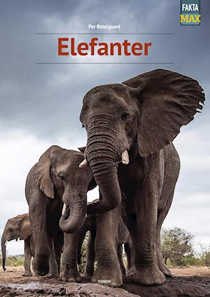 Elefanter