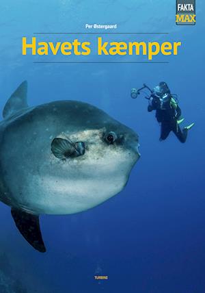 Havets kæmper