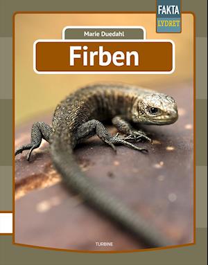 Firben