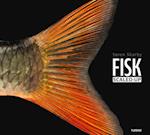 FISK – scaled-up