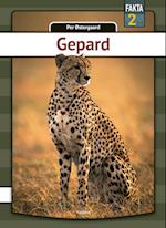 Gepard