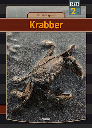 Krabber