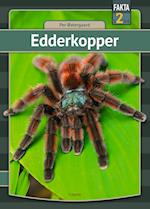 Edderkopper