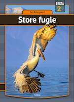 Store fugle