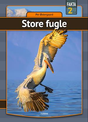 Store fugle