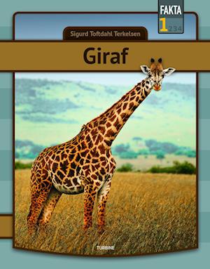 Giraf