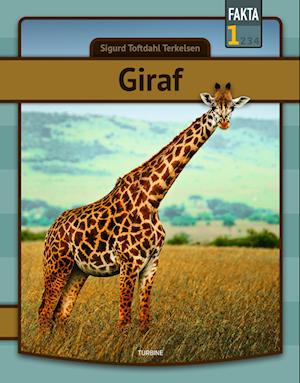 Giraf