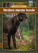 Verdens største hunde