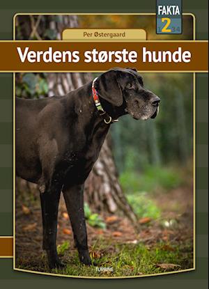 Verdens største hunde