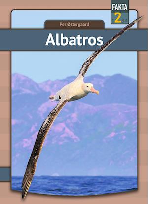 Albatros