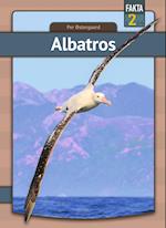 Albatros