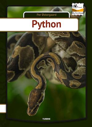 Python