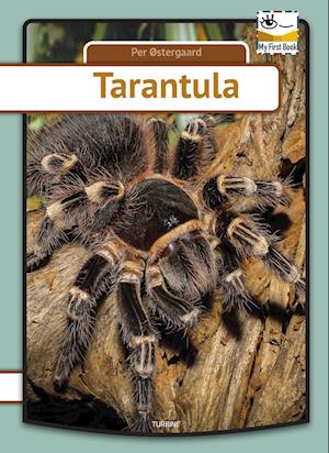 Tarantula