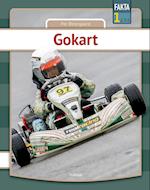 Gokart