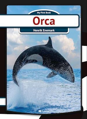 Orca