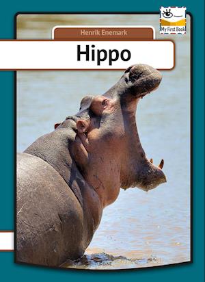 Hippo