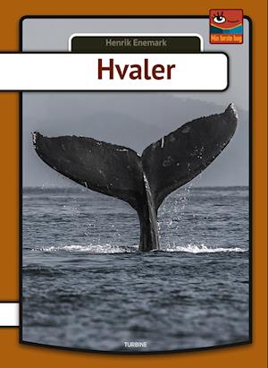 Hvaler