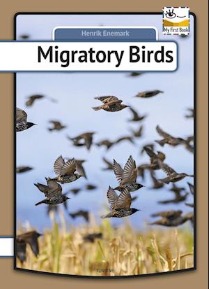 Migratory Birds