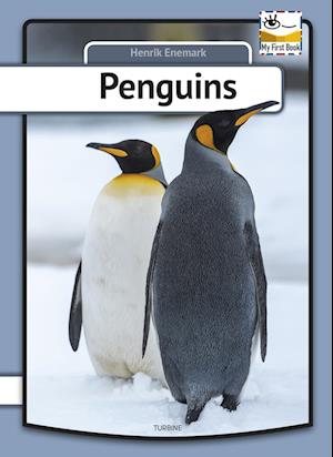 Penguins