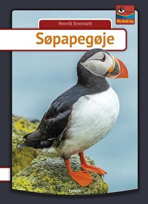 Søpapegøje