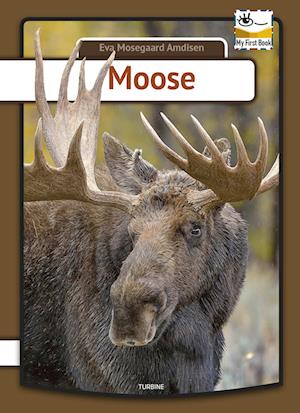 Moose