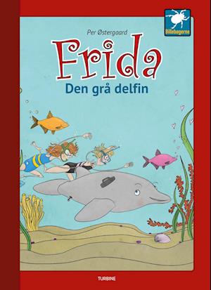 Frida - Den grå delfin