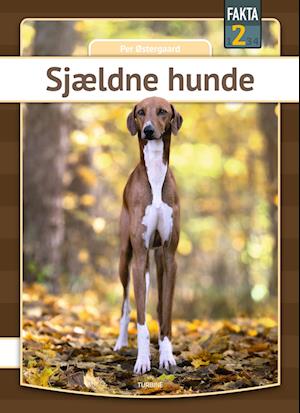 Sjældne hunde