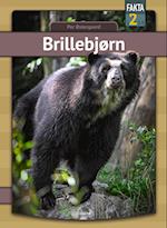 Brillebjørn