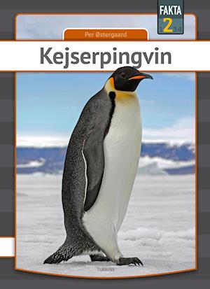 Kejserpingvin