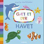 Gæt et dyr – Havet