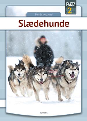 Slædehunde